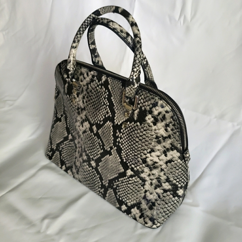 Aldo snake skin crossbody bag